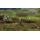 Bladestorm: The Hundred Years' War (PS3), фото 49