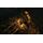 Castlevania: Lords of Shadow Ограниченное издание (Limited Edition)(PS3), фото 50