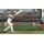 Ashes Cricket 2009 (Xbox 360), фото 51