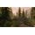 The Elder Scrolls 5 (V): Skyrim. Special Edition Русская Версия (Xbox One), фото 49