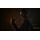 Blood of Dawnwalker (Xbox Series X), фото 49