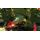 LEGO Batman: The Videogame (Xbox 360/Xbox One), фото 49