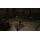 Sherlock Holmes vs. Jack the Ripper (Xbox 360), фото 51