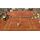 Virtua Tennis 2009 (Xbox 360), фото 50