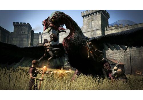 Dragon's Dogma (PS3), фото 49