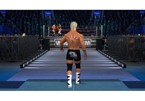 WWE SmackDown! vs. Raw 2011 Platinum (PS3), фото 51
