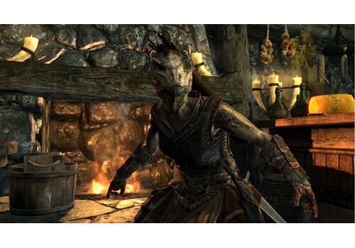 The Elder Scrolls 5 (V): Skyrim Legendary Edition. (PS3), фото 50
