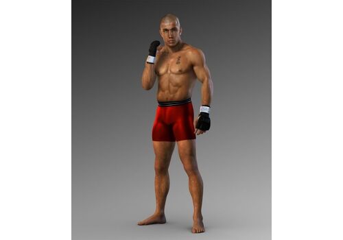UFC 2009 Undisputed (PS3), фото 49