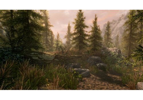 The Elder Scrolls 5 (V): Skyrim. Special Edition Русская Версия (Xbox One), фото 49
