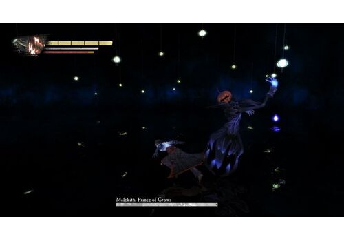 Anima: Gate of Memories (PS4), фото 50