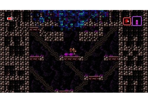 Axiom Verge: Multiverse Edition Русская Версия (PS4), фото 50