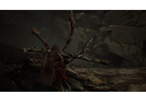 Blair Witch Русская Версия (PS4), фото 51