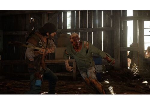 Жизнь после (Days Gone) Русская версия (PS4), фото 50