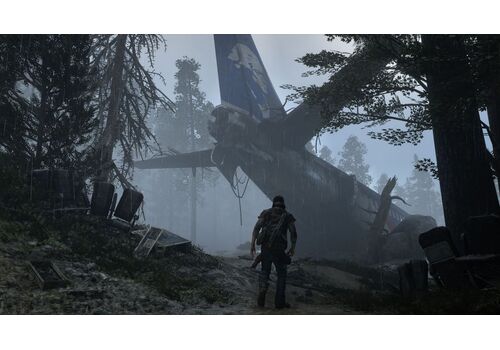 Жизнь после (Days Gone) Русская версия (PS4), фото 51