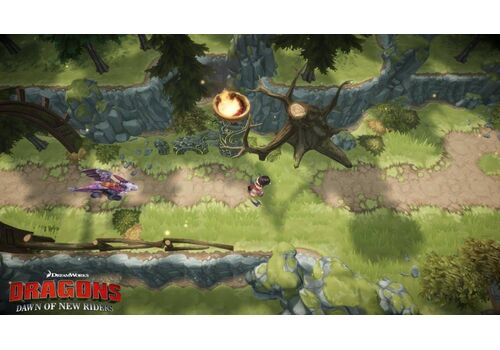 Dragons: Dawn of New Riders (Как приручить Дракона 3) (PS4), фото 49